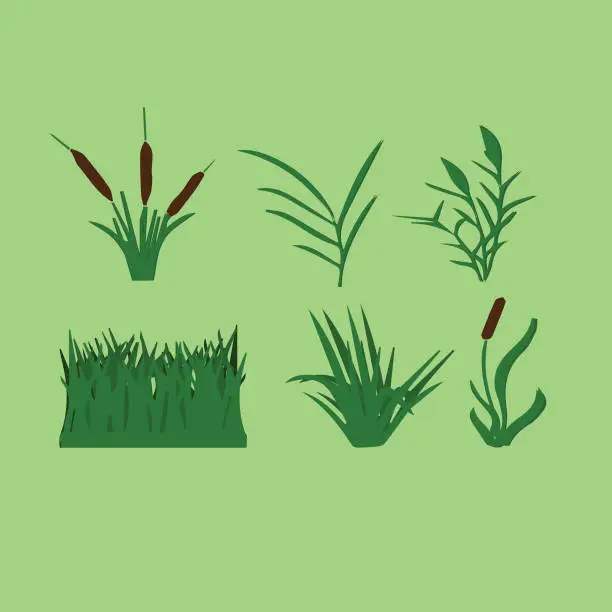 Vector illustration of green grass vector set
