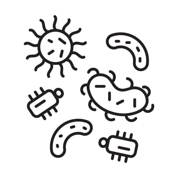Bacteria, virus icon in line, outline style. Viral infection, amoeba, infusoria simple sign for app, web. Bacteria, virus icon in line, outline style. Viral infection, amoeba, infusoria simple sign for app, web. Colony of bacteria, microbe on Petri dish illustration. chlamydomonas stock illustrations