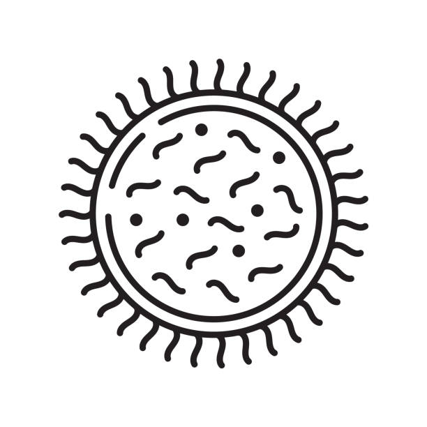 Bacteria, virus icon in line, outline style. Viral infection, amoeba, infusoria simple sign for app, web. Bacteria, virus icon in line, outline style. Viral infection, amoeba, infusoria simple sign for app, web. Colony of bacteria, microbe on Petri dish illustration. chlamydomonas stock illustrations