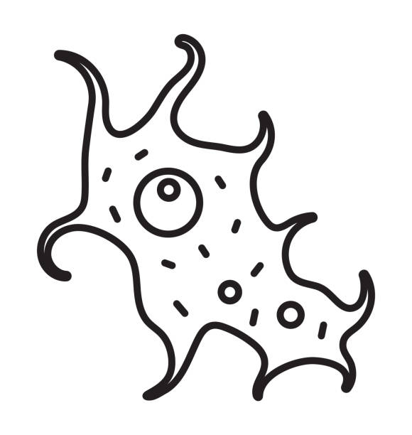 Viral infection, amoeba, infusoria simple sign for app, web. Colony of bacteria, microbe Viral infection, amoeba, infusoria simple sign for app, web. Colony of bacteria, microbe on Petri dish illustration. Bacteria, virus icon in line, outline style. chlamydomonas stock illustrations
