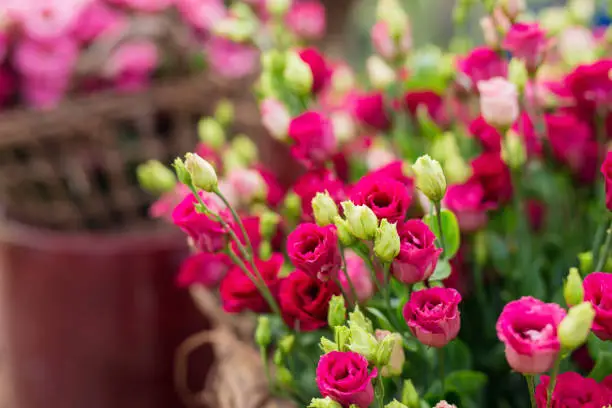 Photo of Closeup of a basket full of pink roses