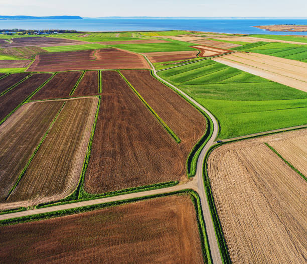 世界中のフィールド - plowed field dirt agriculture field ストックフォトと画像