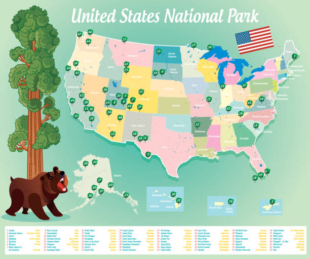 US National Park Vector US National Park
https://maps.lib.utexas.edu/maps/united_states/us_general_reference_map-2003.pdf carlsbad texas stock illustrations