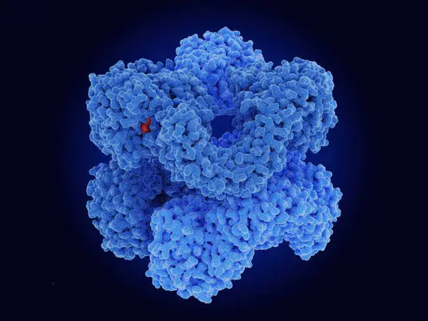 Photo of The NEK-7 independent NLRP3 inflammasome in it's hexameric conformation with ADP (red) bound.