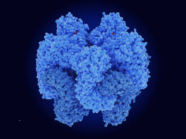 istock The NLRP3 inflammasome in it's decameric conformation with ADP (red) bound. 1399214395