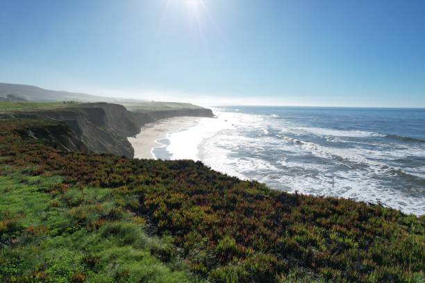 istock Half moon bay coastal trail California 1399215192