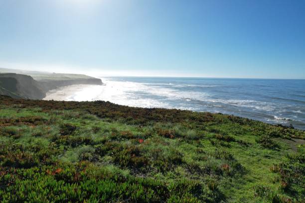 istock Half moon bay coastal trail California 1399215198