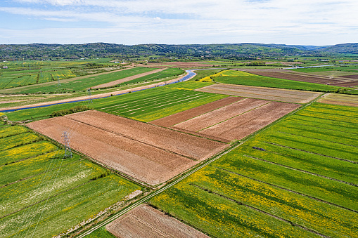 Aerial drone view of plowed fields alongside fields of dandelions.