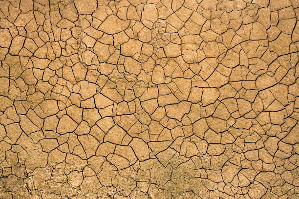 Dry Riverbed stock photo