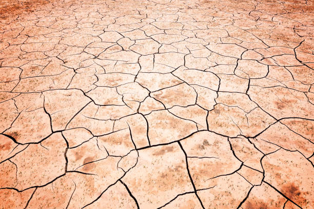 Dry Riverbed Dry conditions have emptied a river/reservoir. dry riverbed stock pictures, royalty-free photos & images