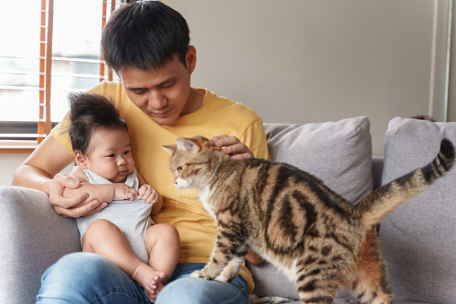 Young Asian father holding adorable newborn baby boy and petting cute cat while sitting on sofa at home. Asian family playing with cat.