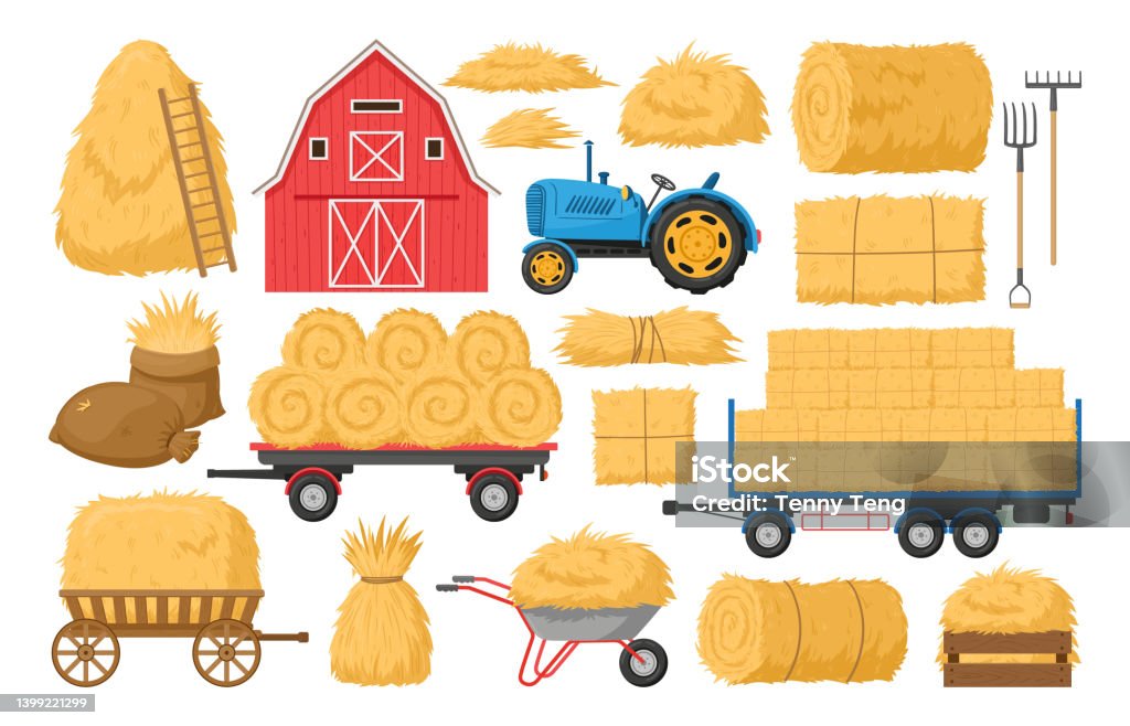 Ilustración de Pajar De Dibujos Animados Montones De Heno Agrícola Heno En Carretilla Y Bolsa De Lona Dibujo Animado De Pajar Agrícola Paja Forrajera Tractor Y Granero De Madera Conjunto De Ilustraciones Ilustración de Pajar De Dibujos Animados Montones De Heno Agrícola Heno En Carretilla Y Bolsa De Lona Dibujo Animado De Pajar Agrícola Paja Forrajera Tractor Y Granero De Madera Conjunto De Ilustraciones