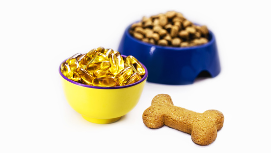 bowl of omega 3 capsules, with dog food bowl and cookie beside it, homemade puppy food, copy space