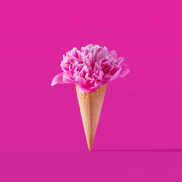 istock Pink peony flower in ice cream cone with magenta background 1399226127