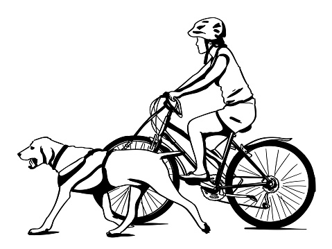 Girl riding her bicycle and having her dog run on a leash at the same time in this sketch illustration