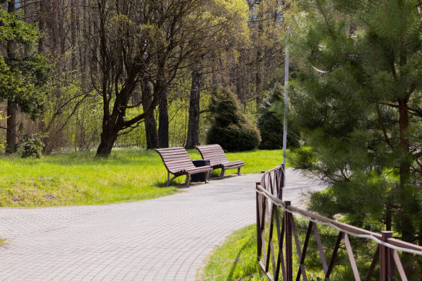 istock Wooden park bench in the park on a beautiful spring day. 1399233609