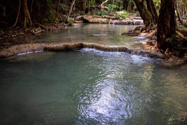 istock The stream in the forest looks shady 1399236861