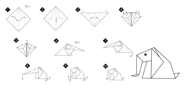 Vector illustration of How to make origami elephant. Black line tutorial