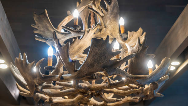 Unusual chandelier made of deer horns or antlers hanging indoors of home or hotel. Suspension light made from horn. Unusual chandelier made of deer horns or antlers hanging indoors of home or hotel. Suspension light made from horn. Chandelier made of deer antlers on a wooden background. antler chandelier stock pictures, royalty-free photos & images