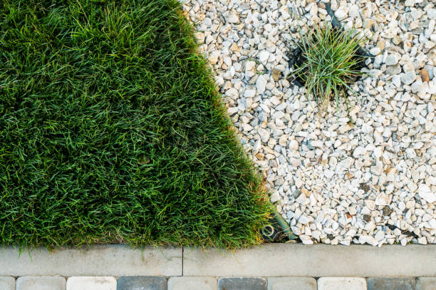 istock yard decoration design of paths and plants 1399241062