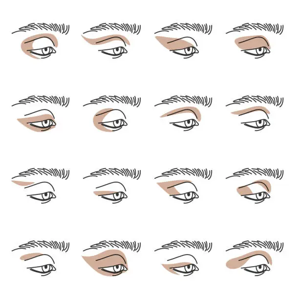 Vector illustration of Various shapes of eyeshadows