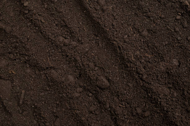 istock Black land for plant background. Top view. 1399250047