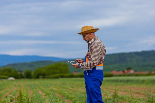istock Technology and modern business concept in agroculture 1399251739