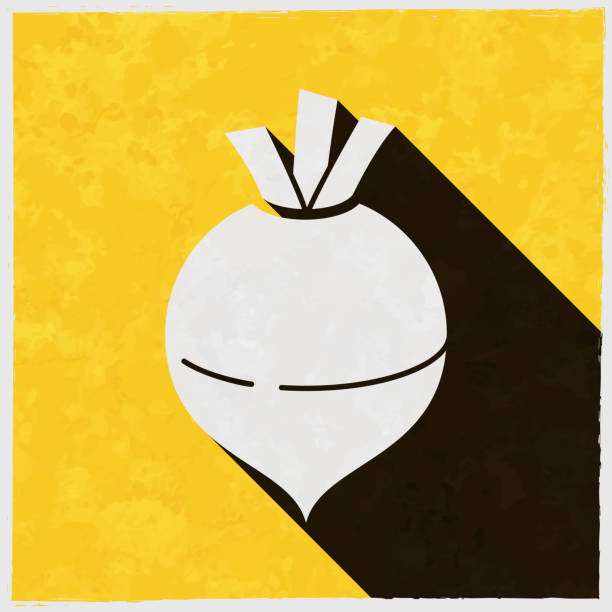 ilustrações de stock, clip art, desenhos animados e ícones de rutabaga. icon with long shadow on textured yellow background - root paper black textured