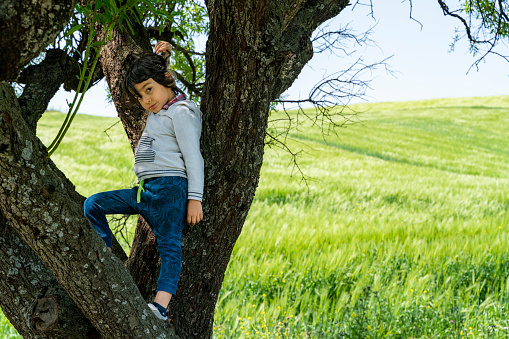 Buğday tarlasında bulunan badem ağacına tırmanan erkek çocuk. kameraya bakıp gülümsüyor. güneşli havada doğal ışıkta full frame makine ile çekilmiştir.