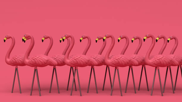 3D Illustration of a Flock of Plastic Pink Flamingos Tropical Yard Ornament Isolated on Background stock photo