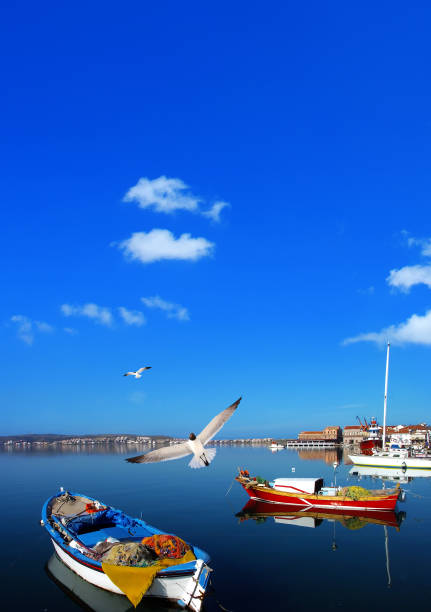 vista costera de la pequeña ciudad histórica de turquía del egeo ayvalik - turkish culture turkey fishing boat fishing fotografías e imágenes de stock