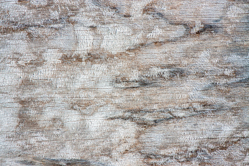Closeup old weathered wood texture background with copy space, horizontal composition