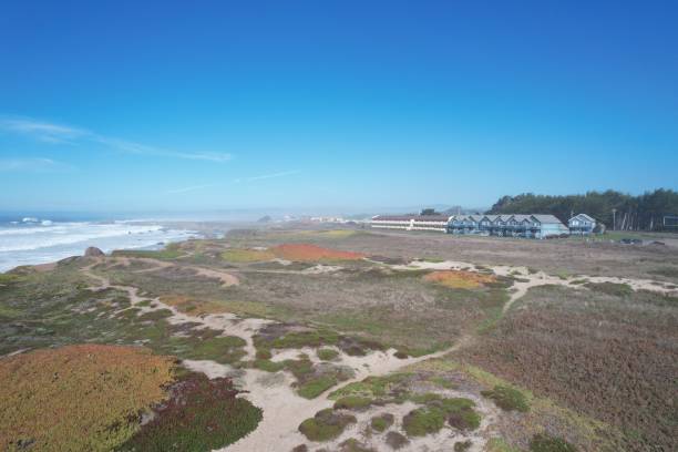 Mendocino  and Noyo headlands California