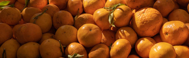 Fresh mandarines background stock photo