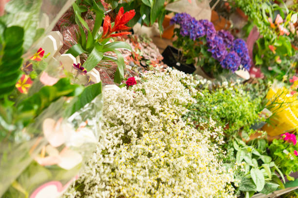 istock floral texture background in market showcase 1399265494