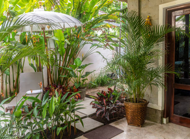 Tropical Garden