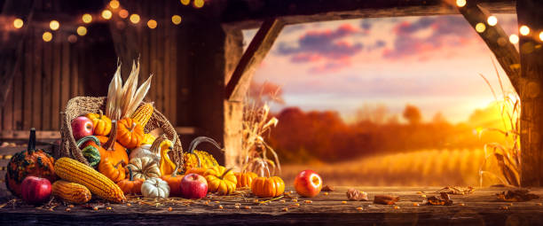 panier de citrouilles, pommes et maïs dans une grange avec porte ouverte - novembre photos et images de collection