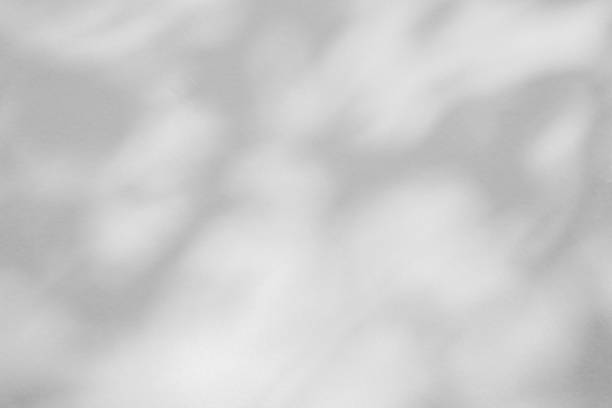 istock Abstract natural tree leaves shadow on white wall background 1399276656