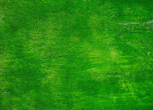 Cracked Paint Texture.. \nAbstract green shabby background for design.