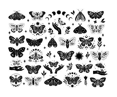 Celestial butterfly vector illustration set. Mystical boho moth with moon phases. Floral insect, wildflowers, stars clipart on white background. Design for poster, card, t shirt print, sticker.