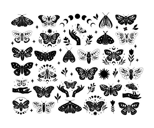 Celestial butterfly vector illustration set. Celestial butterfly vector illustration set. Mystical boho moth with moon phases. Floral insect, wildflowers, stars clipart on white background. Design for poster, card, t shirt print, sticker. moth stock illustrations