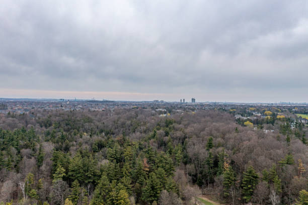 istock Boyd Conservation Park in Springtime, Vaughan, Ontario, Canada 1399277047
