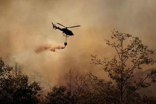 Fire fighting helicopter dropping water onto wildfire