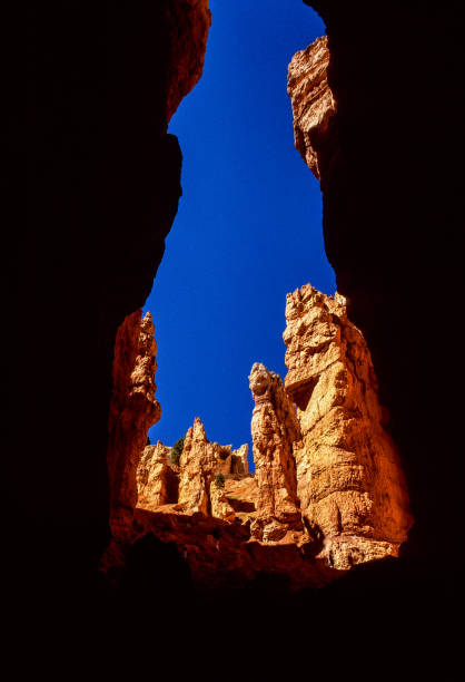 Bryce Canyon National Park - Looking up from the Navajo Loop Trail - 1998