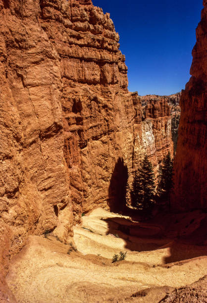 istock Bryce Canyon National Park - Switchbacks Along the Navajo Loop Trail - 1998 1399284373