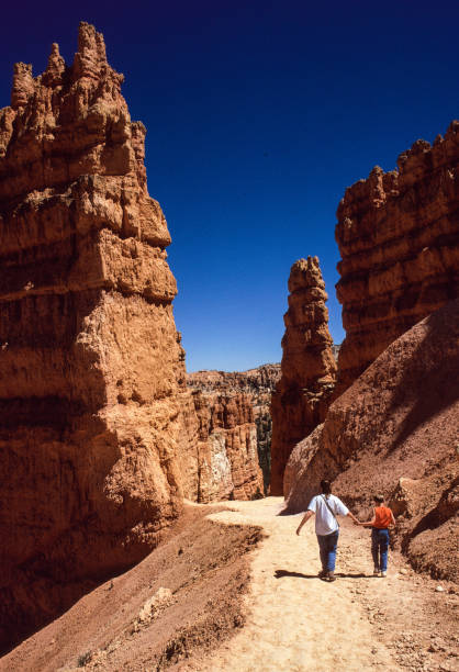 Bryce Canyon National Park Trail Vertical - 1998. Scanned from Kodachrome 25 slide.