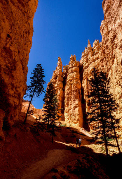 istock Bryce Canyon National Park - Descending Navajo Loop Trail - 1998 1399285229