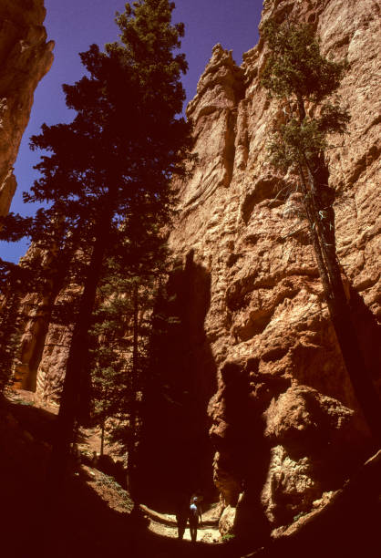 Bryce Canyon National Park - Hikers in the Shadows - 1998