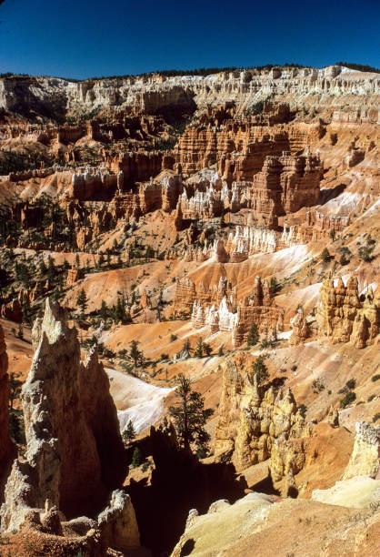 Bryce Canyon National Park - Morning Light Vertical Wide Angle - 1998