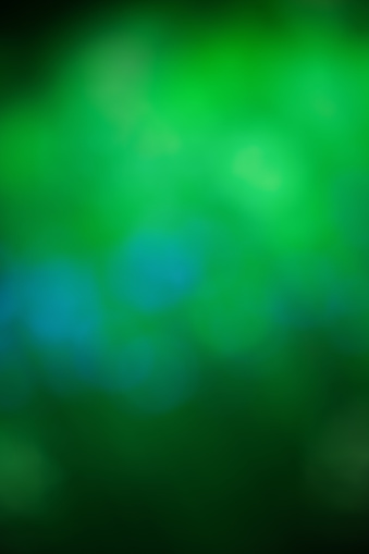 abstract green spring with sunlight bokeh background from tree